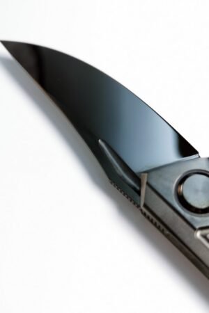 Bear Head Quantum DLC Blade M390 Titanium Alloy Handle SF Express